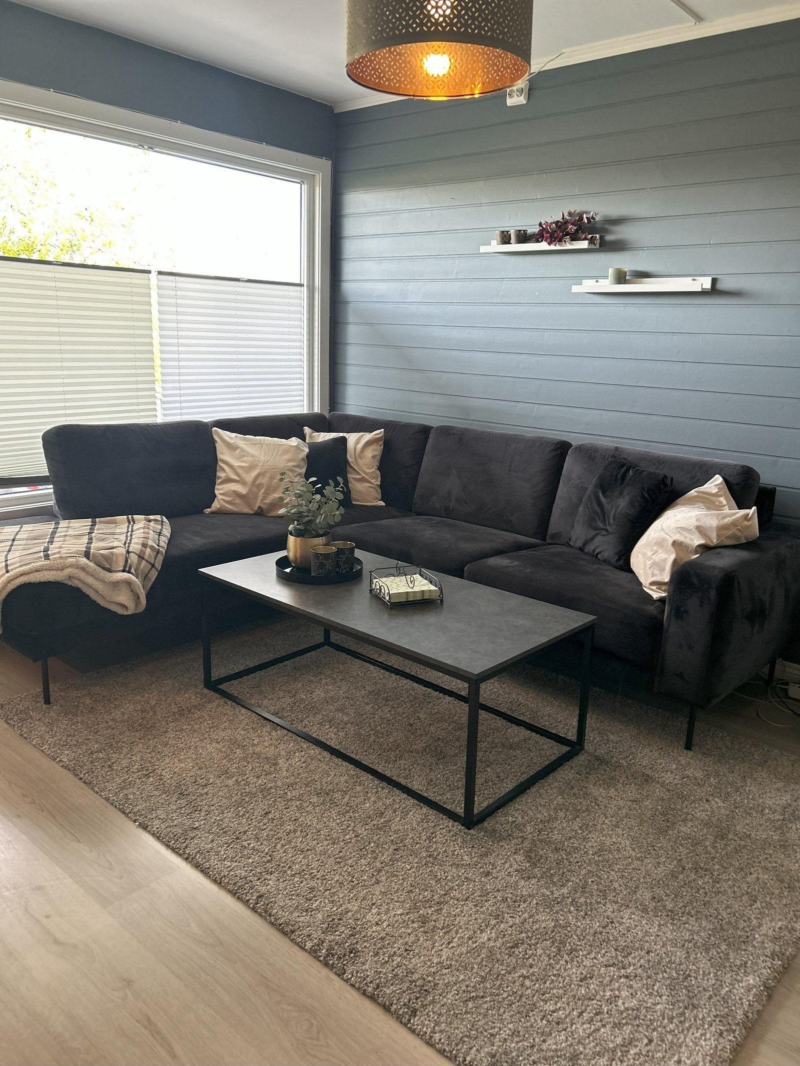 God plass i stue til sofa og møbler. Plissegardiner som er et år gamle både på vindu og verandadør Galleribilde