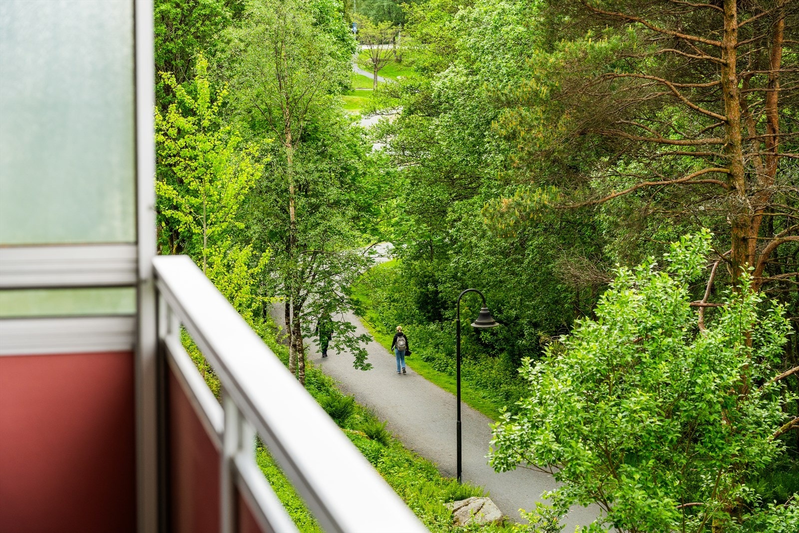 Nydelige turmuligheter på etablert sti rundt vannet! Galleribilde