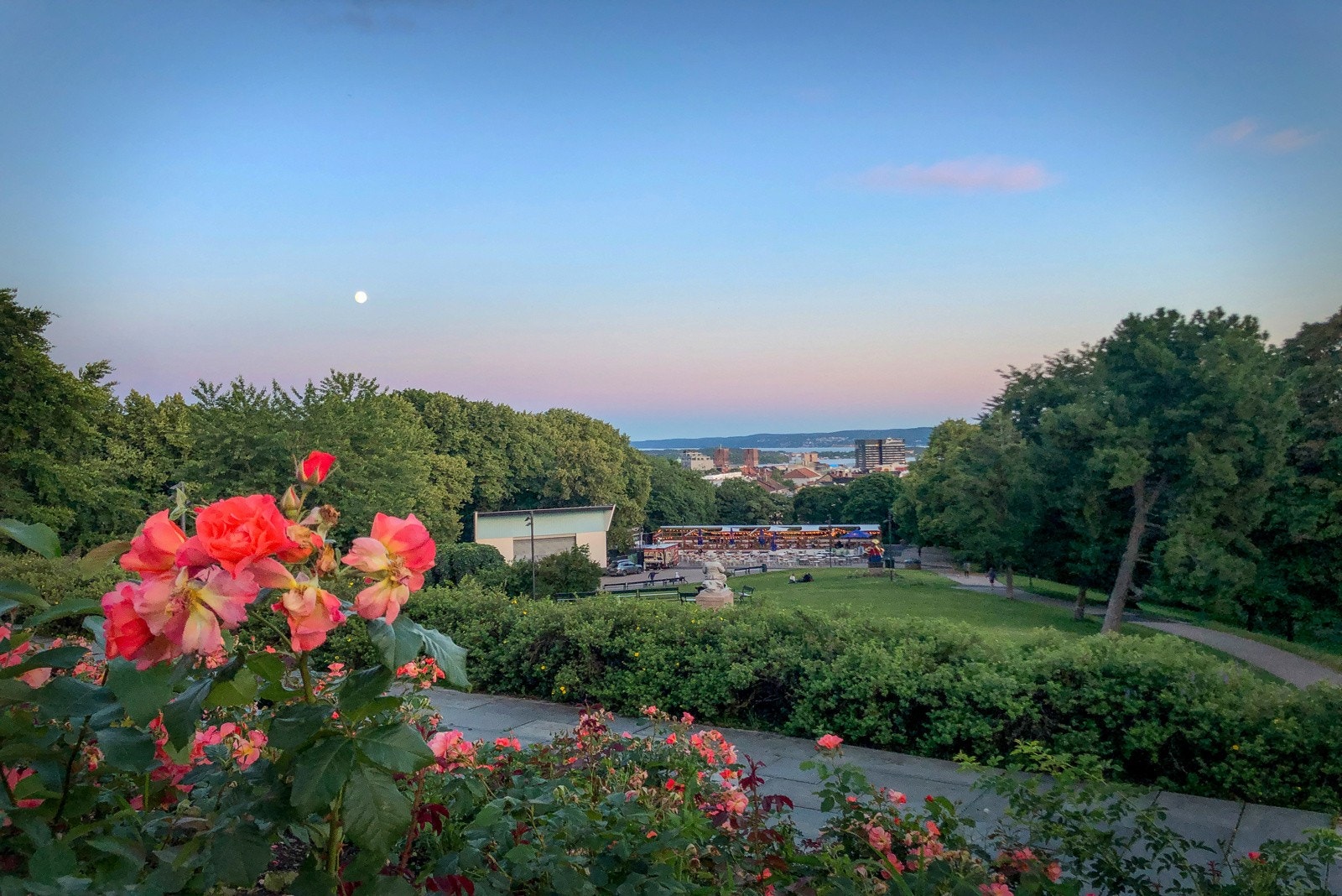 Parken er et nydelig fristed under sommeren Galleribilde