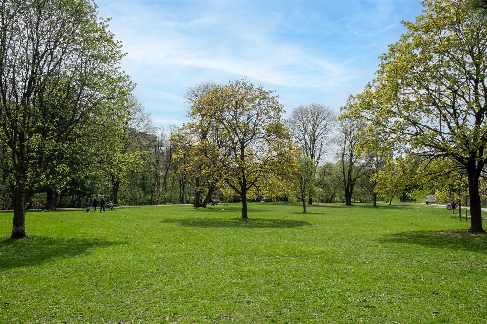 Flere større parker i nærområdet. Galleribilde