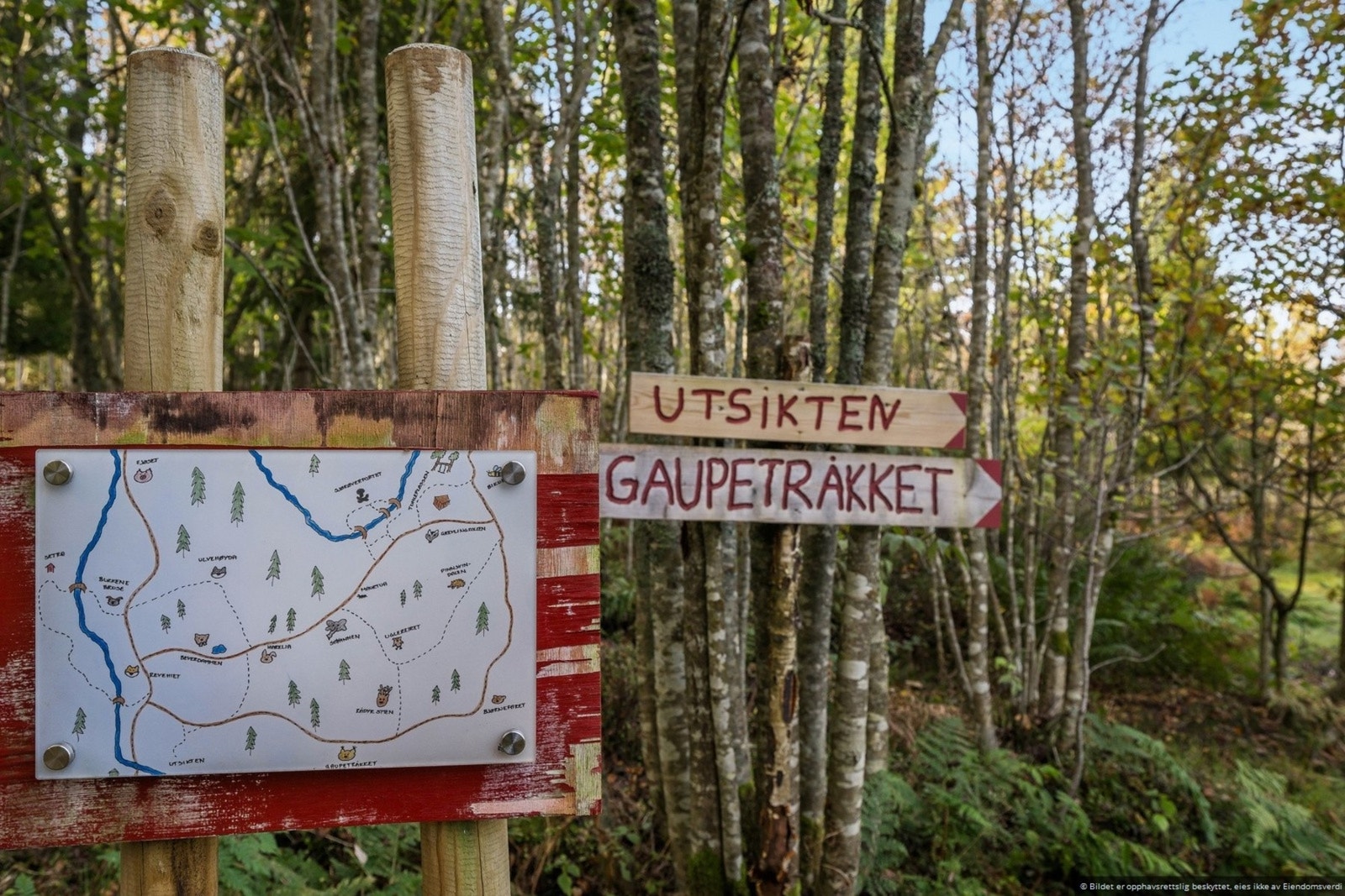 Det er laget en koselig tursti "Eventyrskogen" ikke langt fra tomten. Galleribilde
