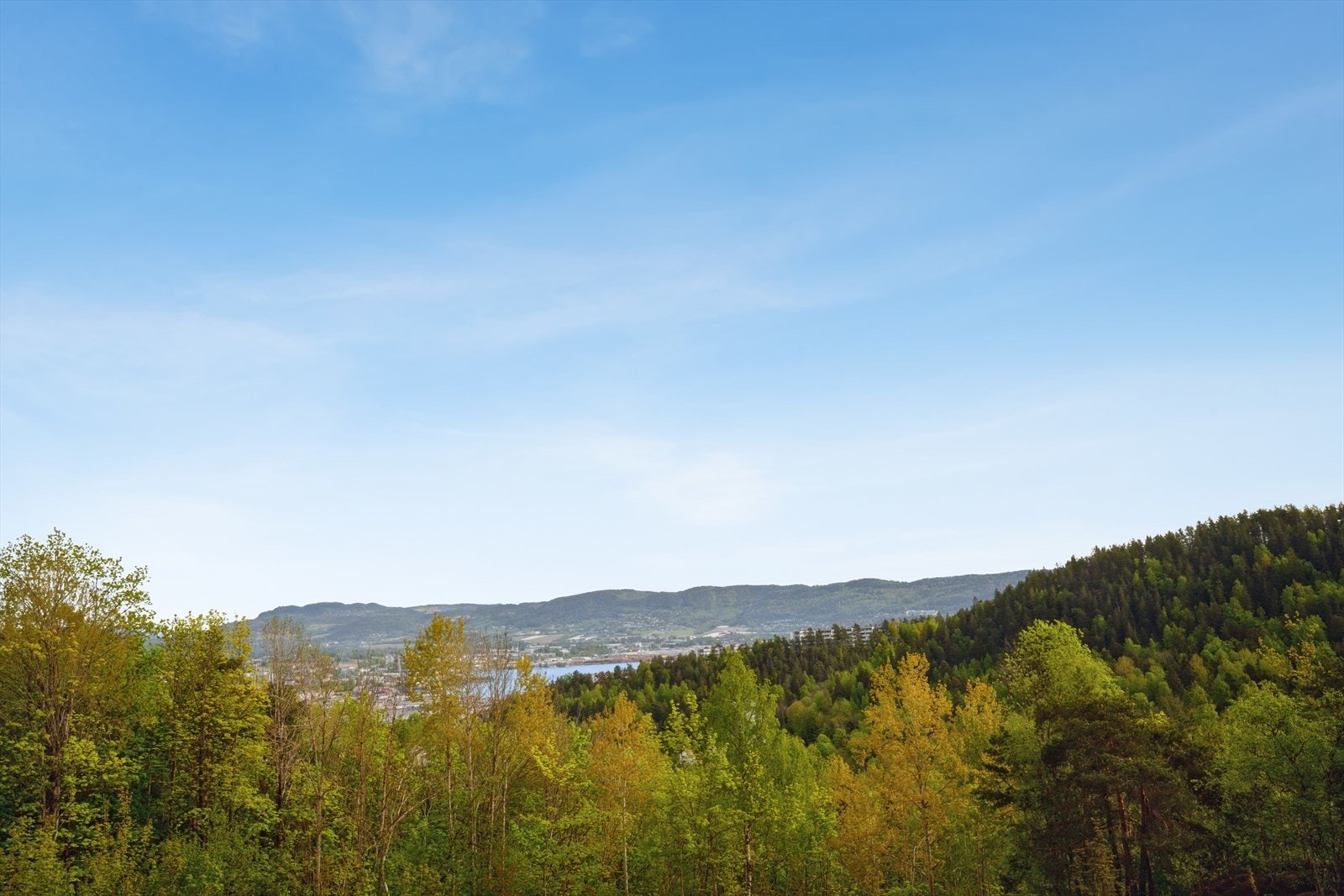 Utsikt fra kjøkkenet Galleribilde