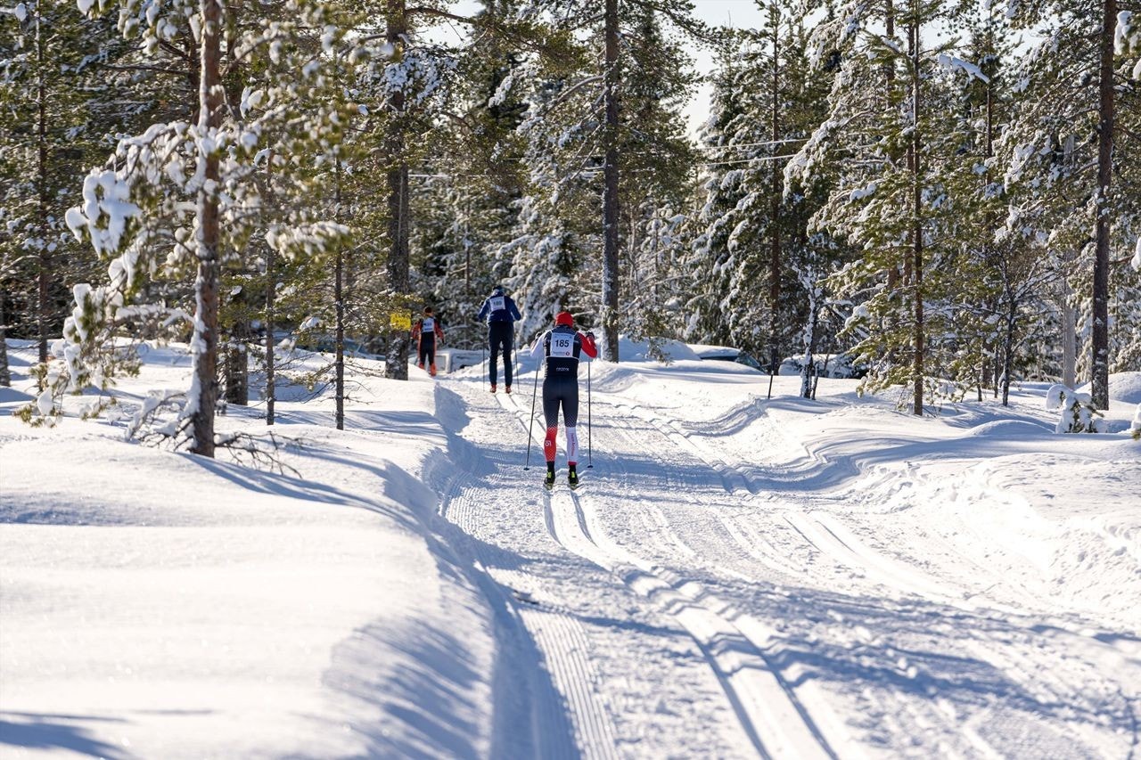 Trysil skimaraton. Foto Jonas Sjøgren..jpg Galleribilde