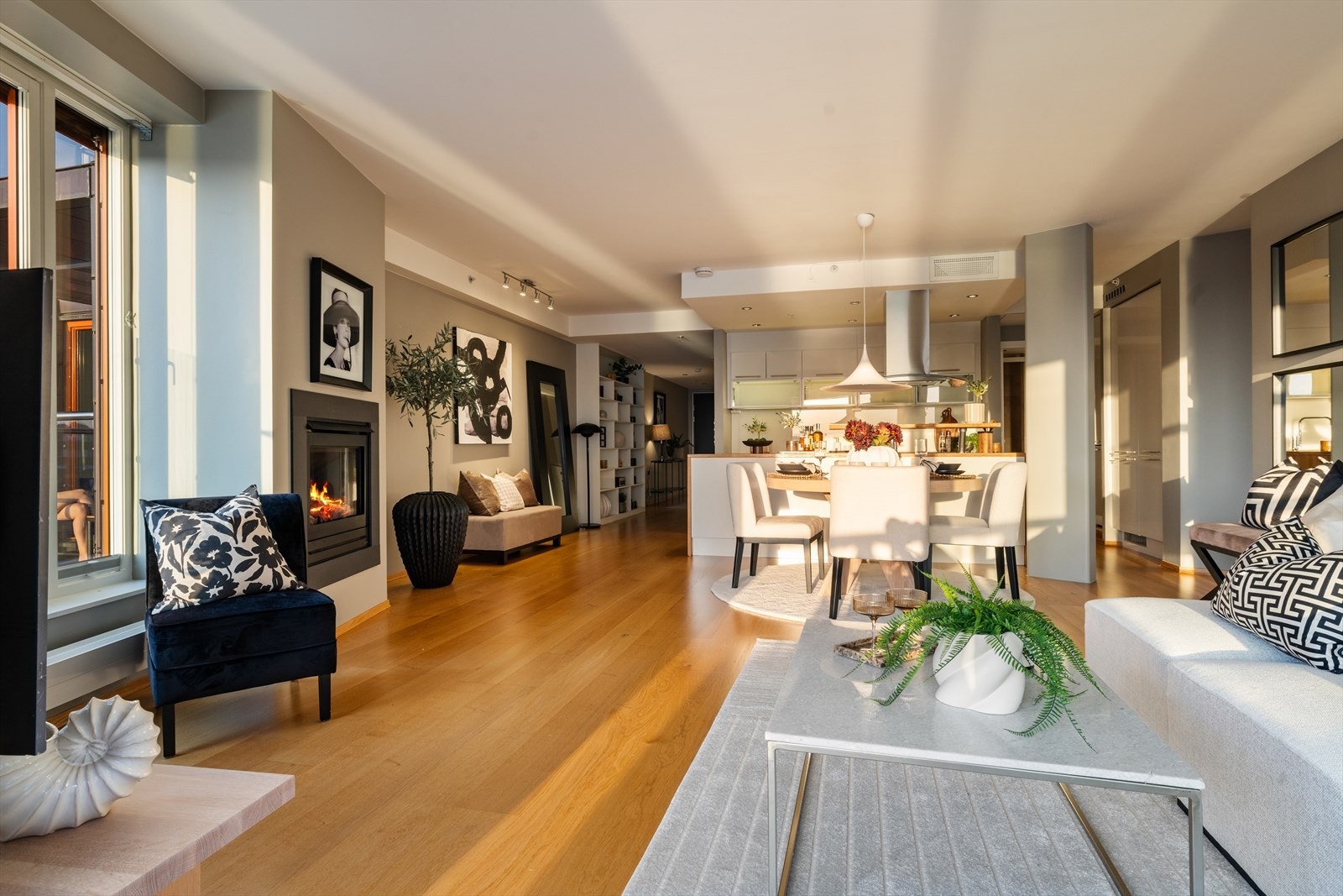 Det er gasspeis i stuen. Galleribilde