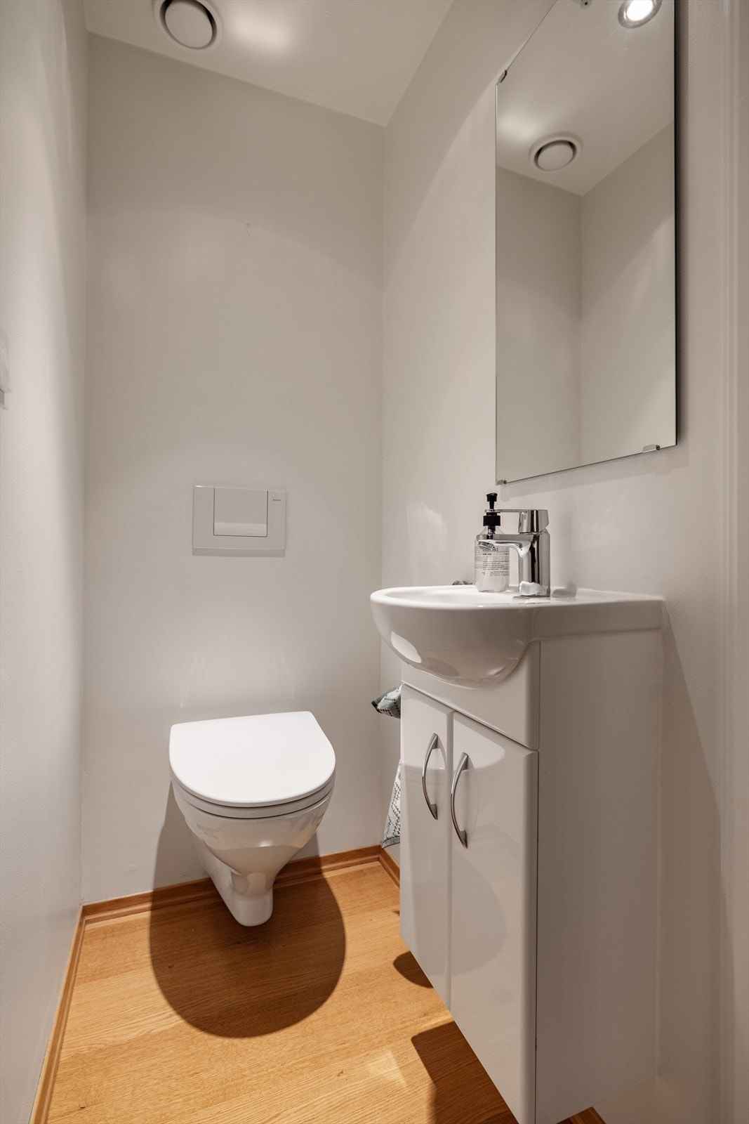 Separat toalett i gangen. Galleribilde