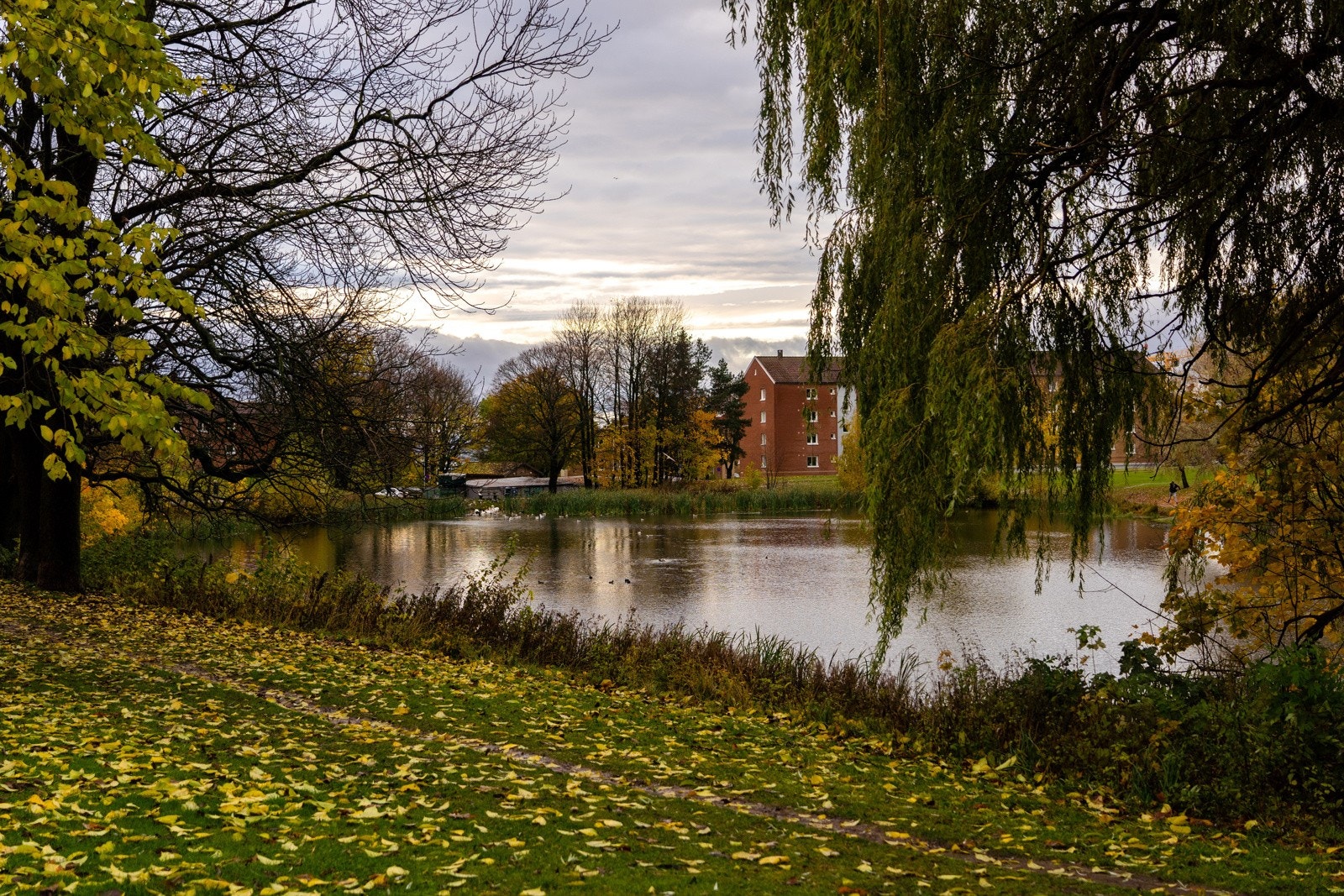 Nærområde Galleribilde