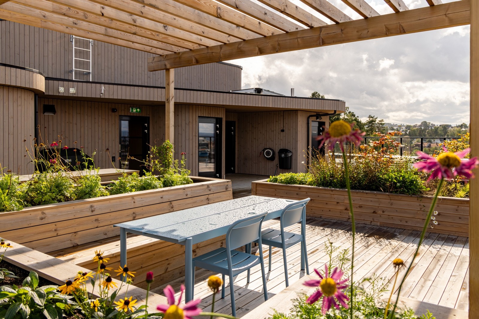 Takterrasse med fin beplantning Galleribilde