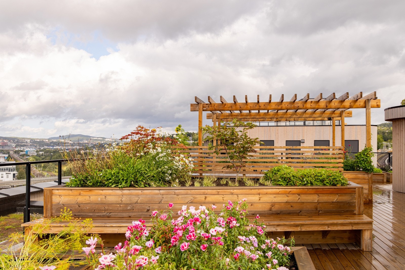 Takterrasse Galleribilde