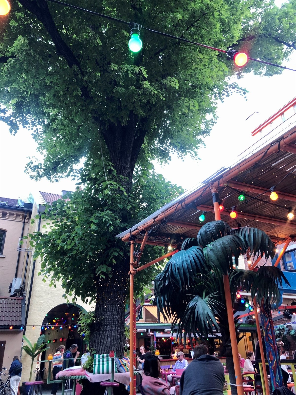 Tropisk stemning i bakgården på Dattera til hagen. Galleribilde