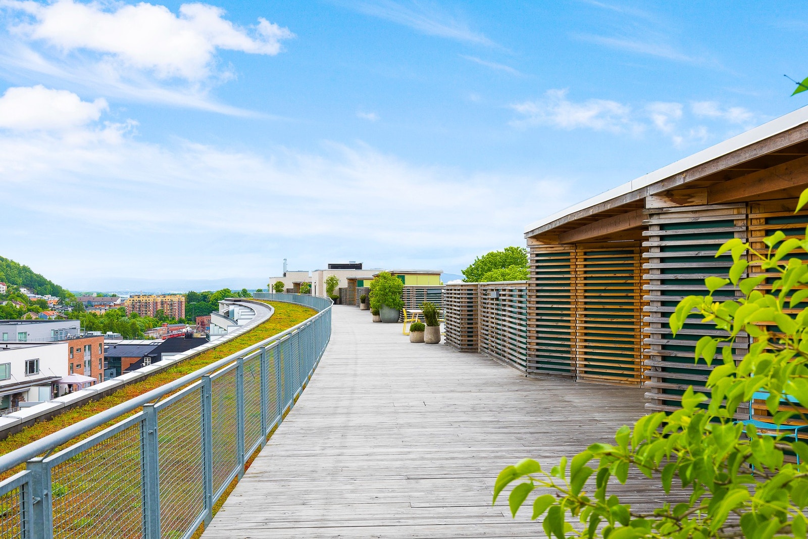 Felles takterrasse med flott utsikt. Galleribilde