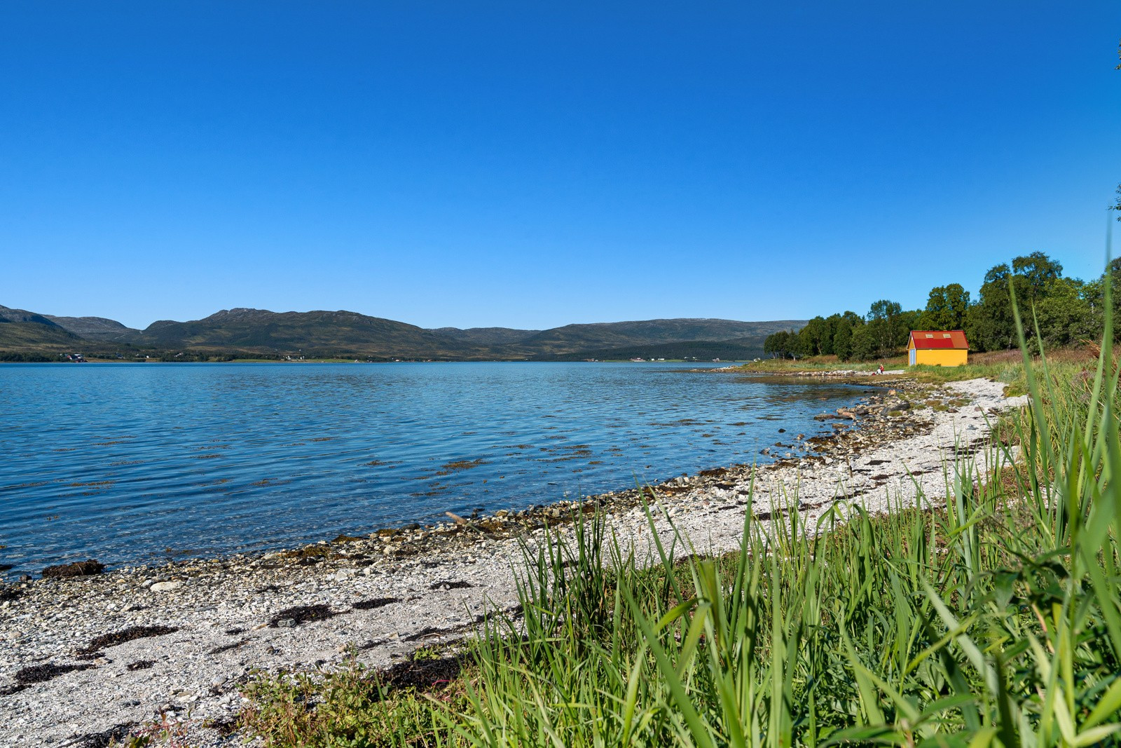 Fjære med benker og grillplasser like ved boligen.