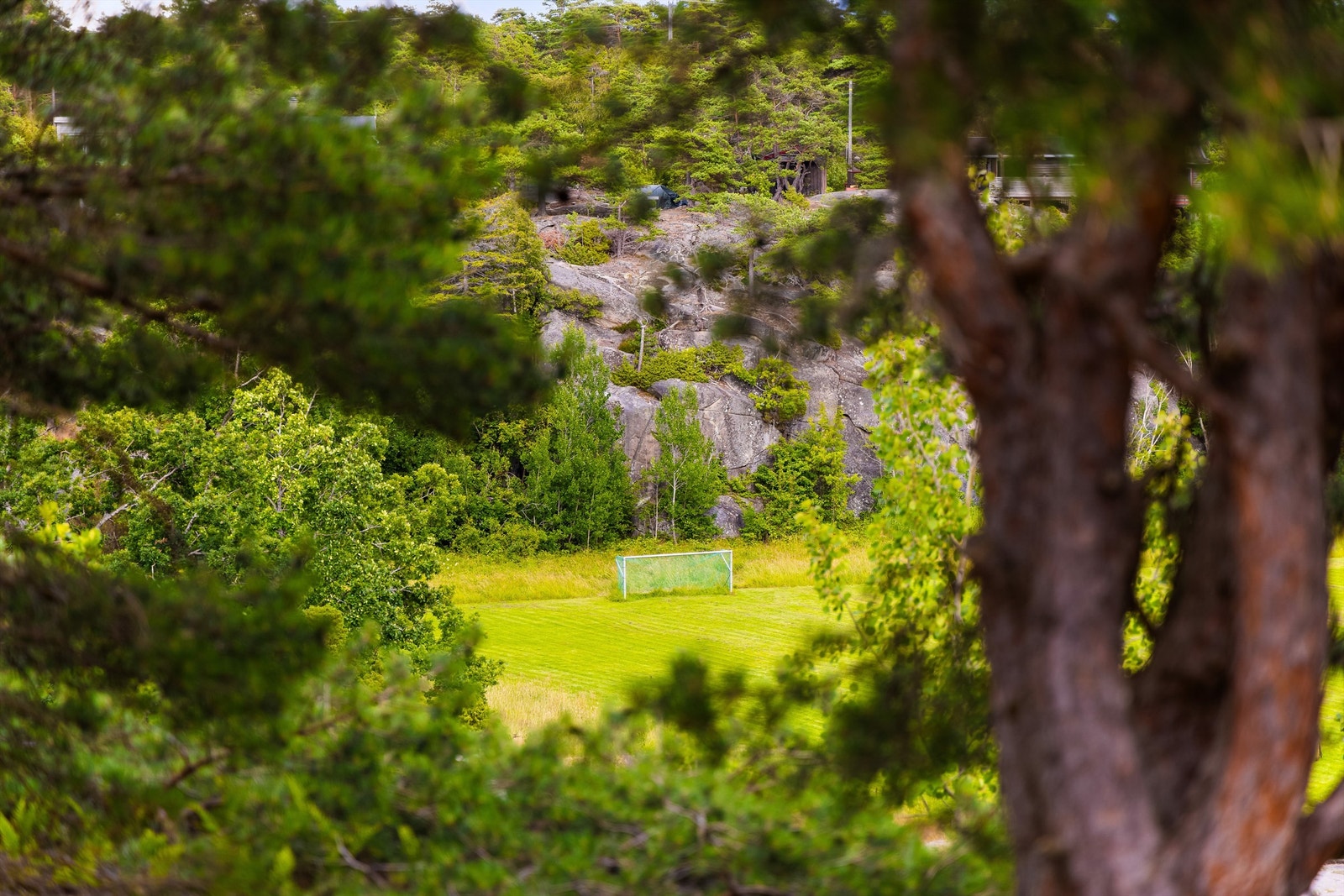 Nærmiljøet Galleribilde