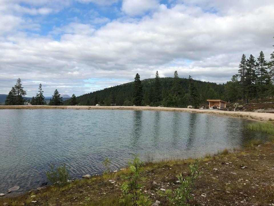 Bade- og fiskevann i nærheten av hytta. Galleribilde