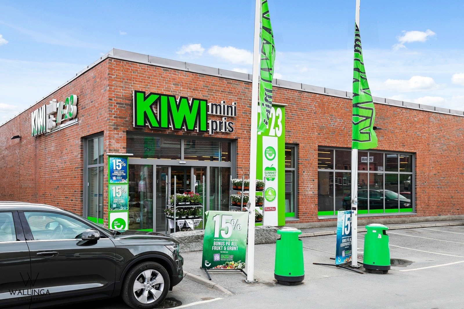 Kiwi i Lierbyen. Galleribilde