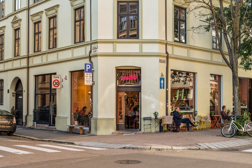 Papegøye kaffebar. Galleribilde