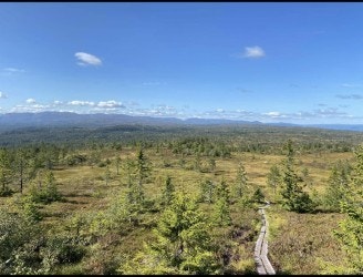 Privat bilde Galleribilde