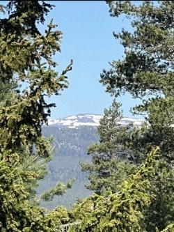 Privat bilde Galleribilde