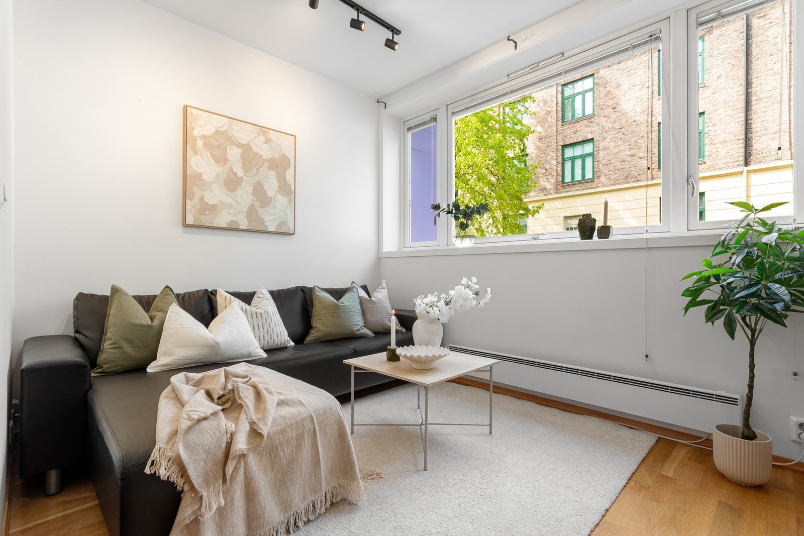 Godt med lysinnslipp fra store vinsdusflater. Galleribilde