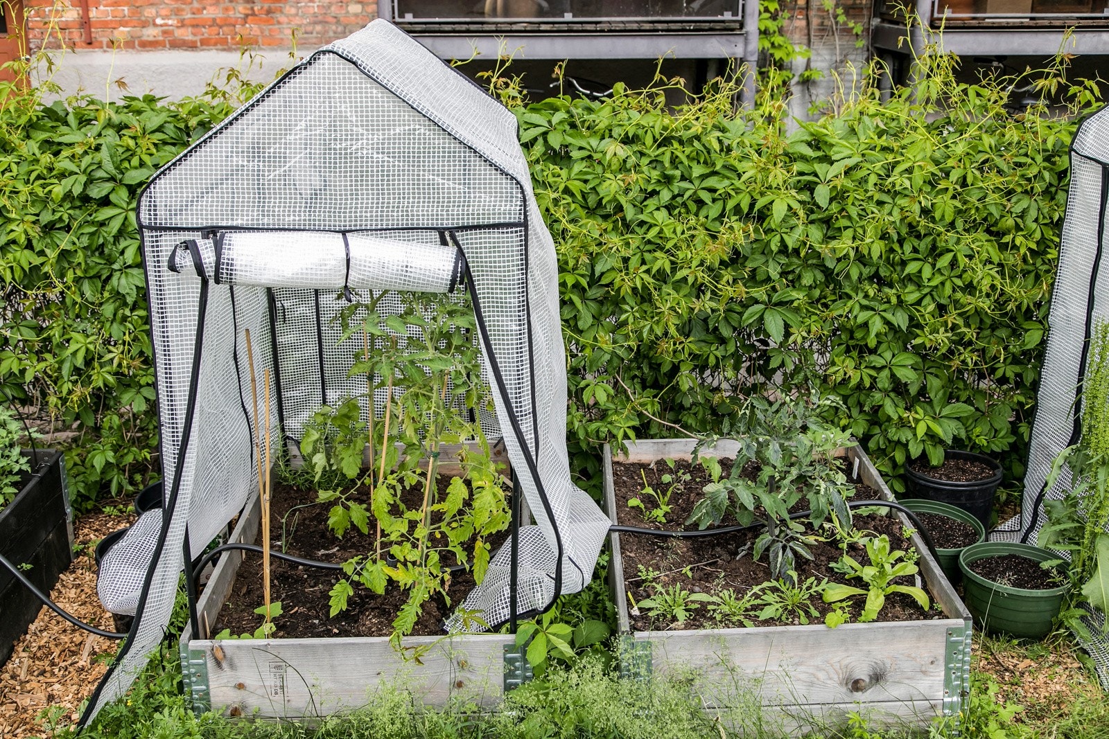 - Mulighet for parsellhage - Galleribilde