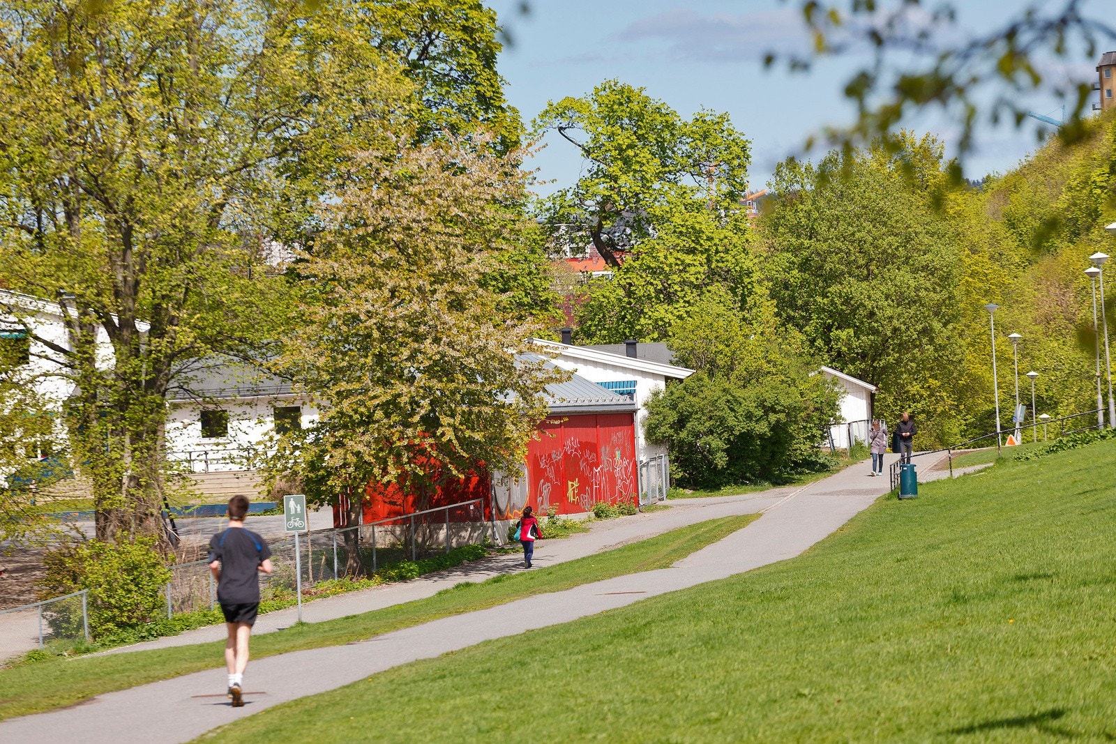- Tøyen parken - Galleribilde