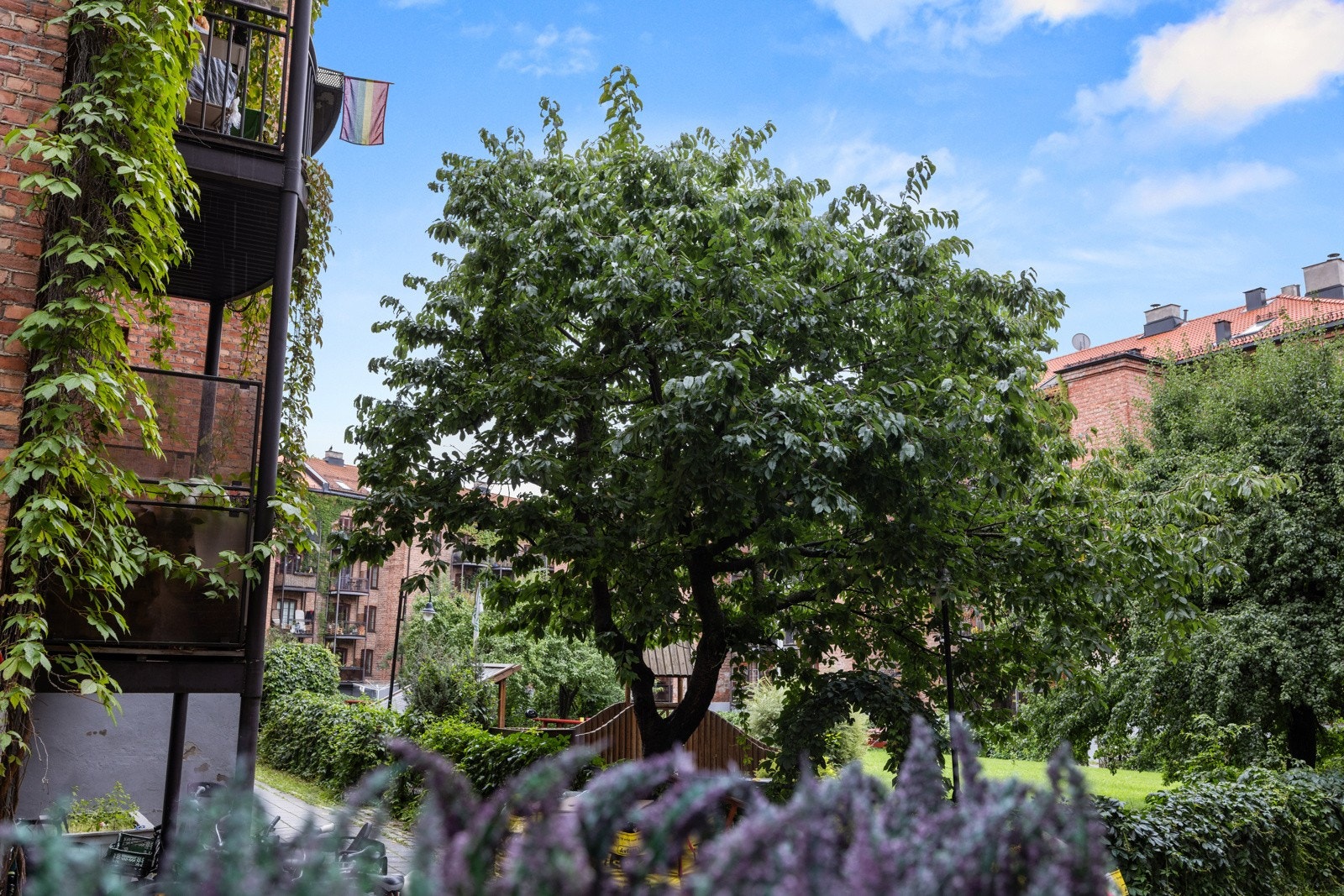 - Utsikt mot felles gårdsrom - Galleribilde