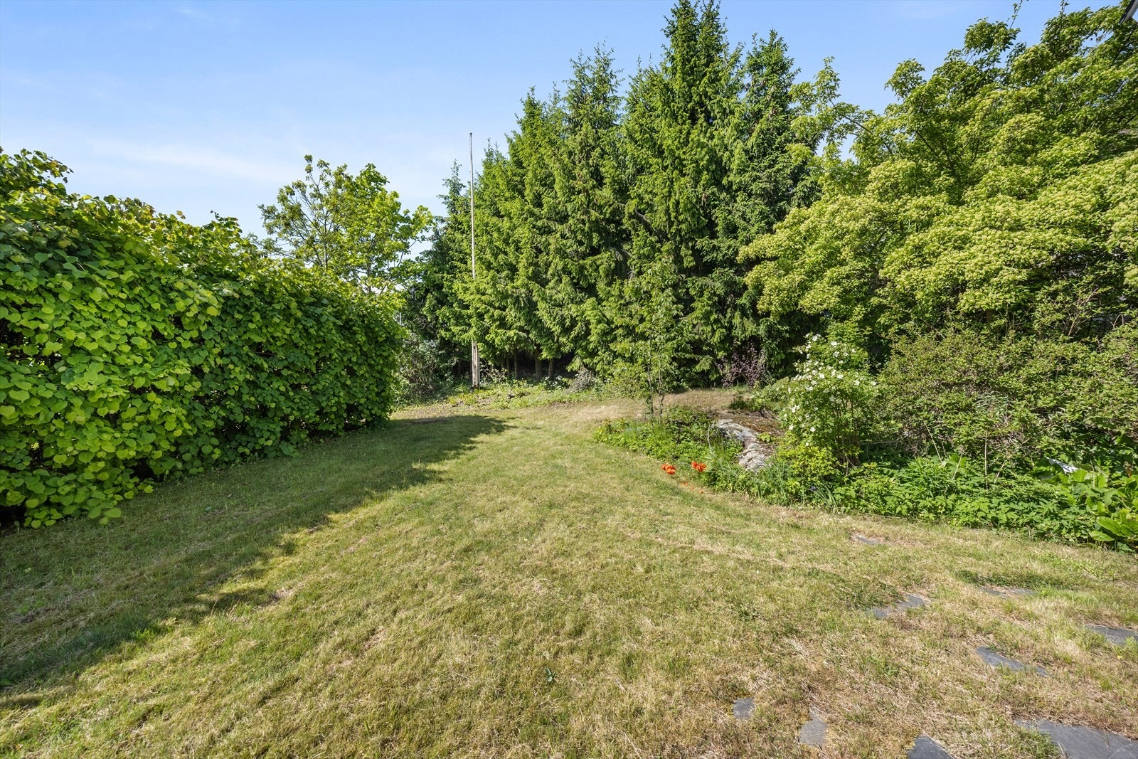 Flott tomt som er lettstelt Galleribilde