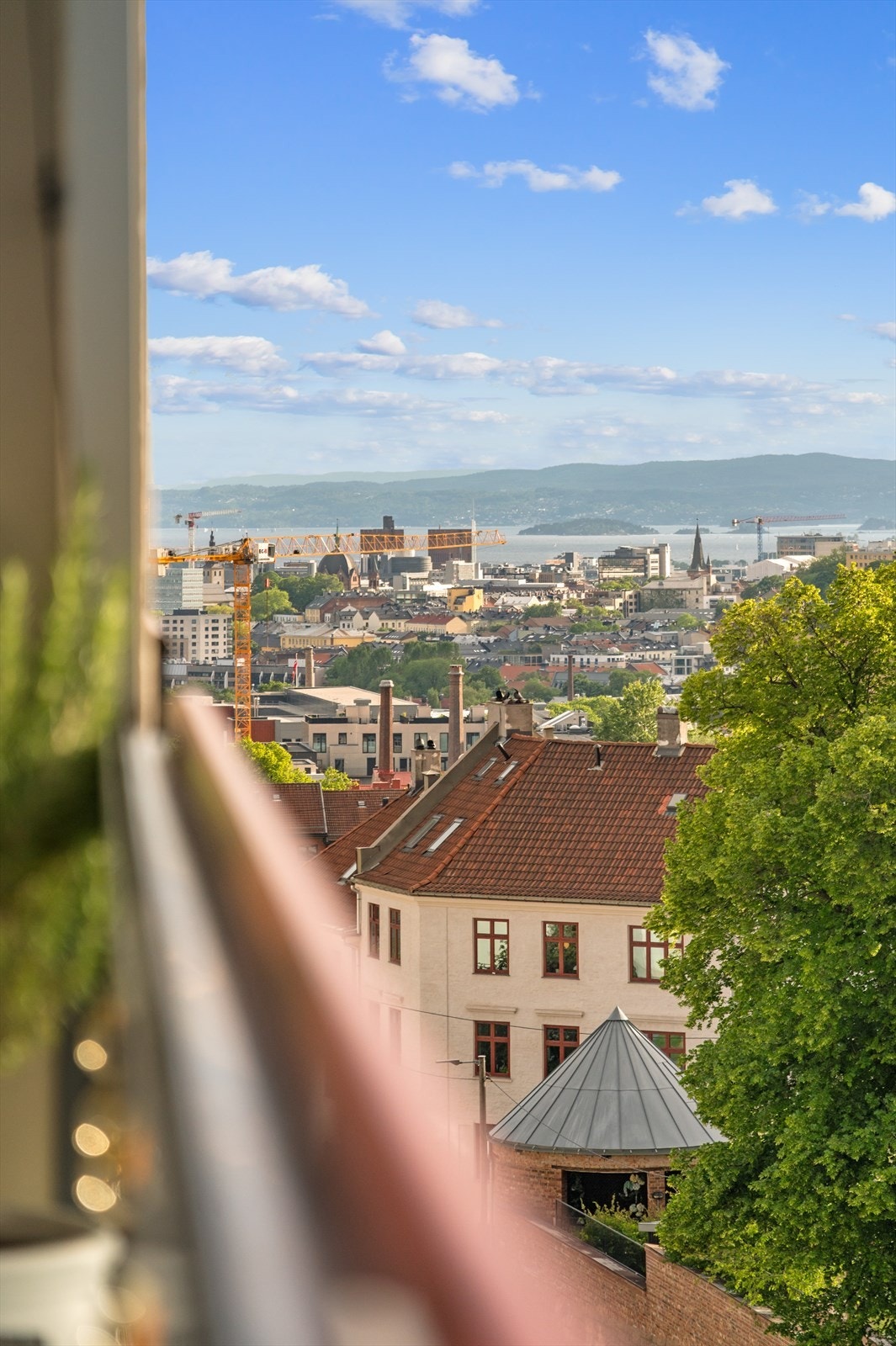 Her vil du bo usjenert, høyt og fritt til på Rosenhoff. Galleribilde