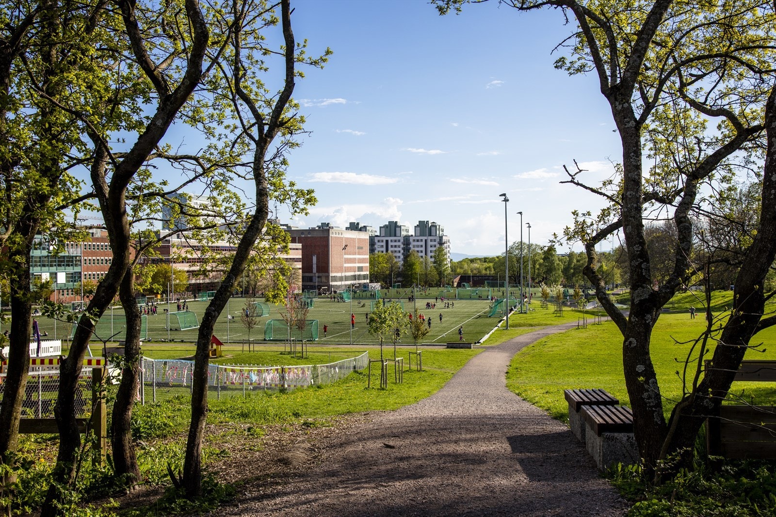 - Nærområdet - Galleribilde