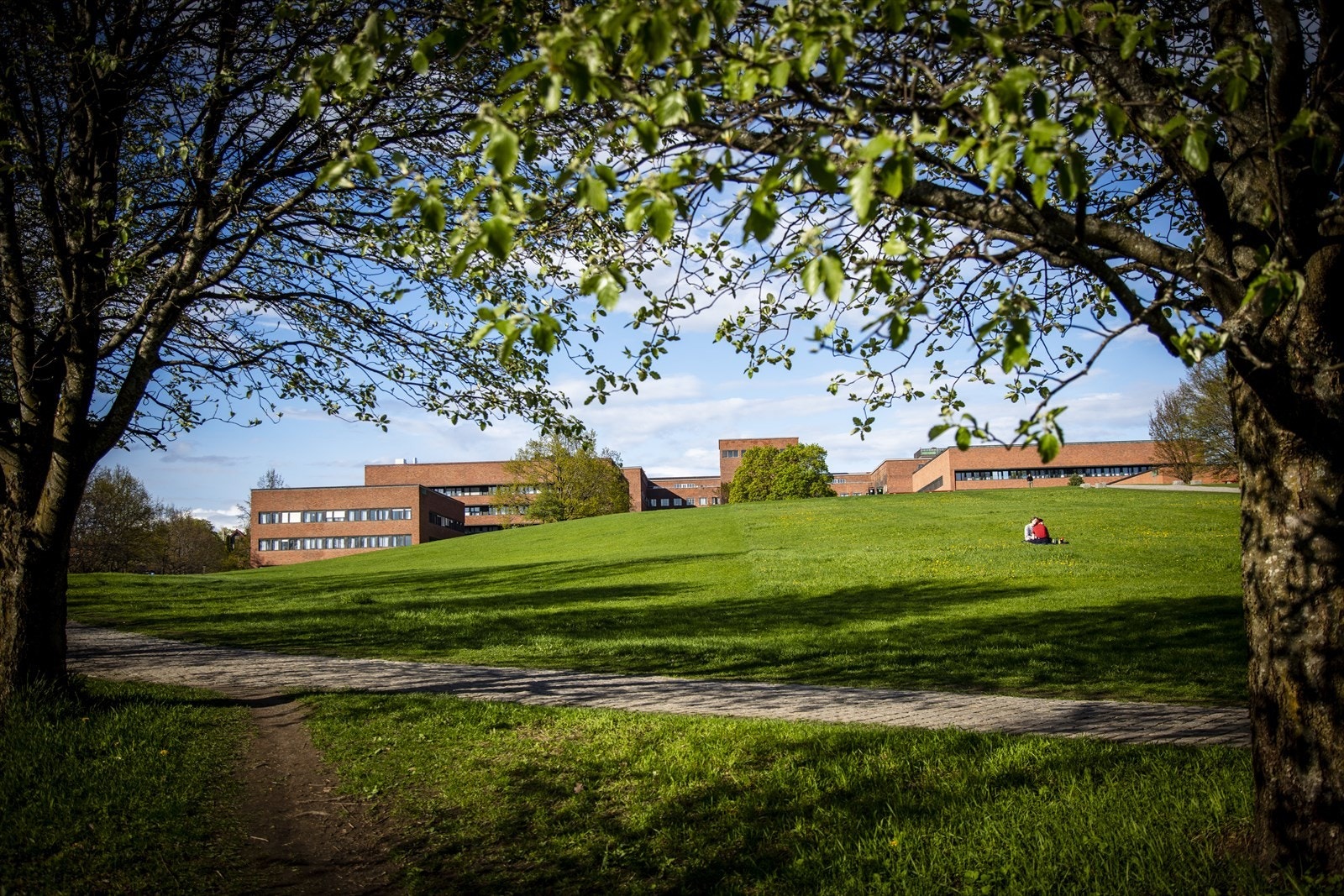 - Nærområdet - Galleribilde