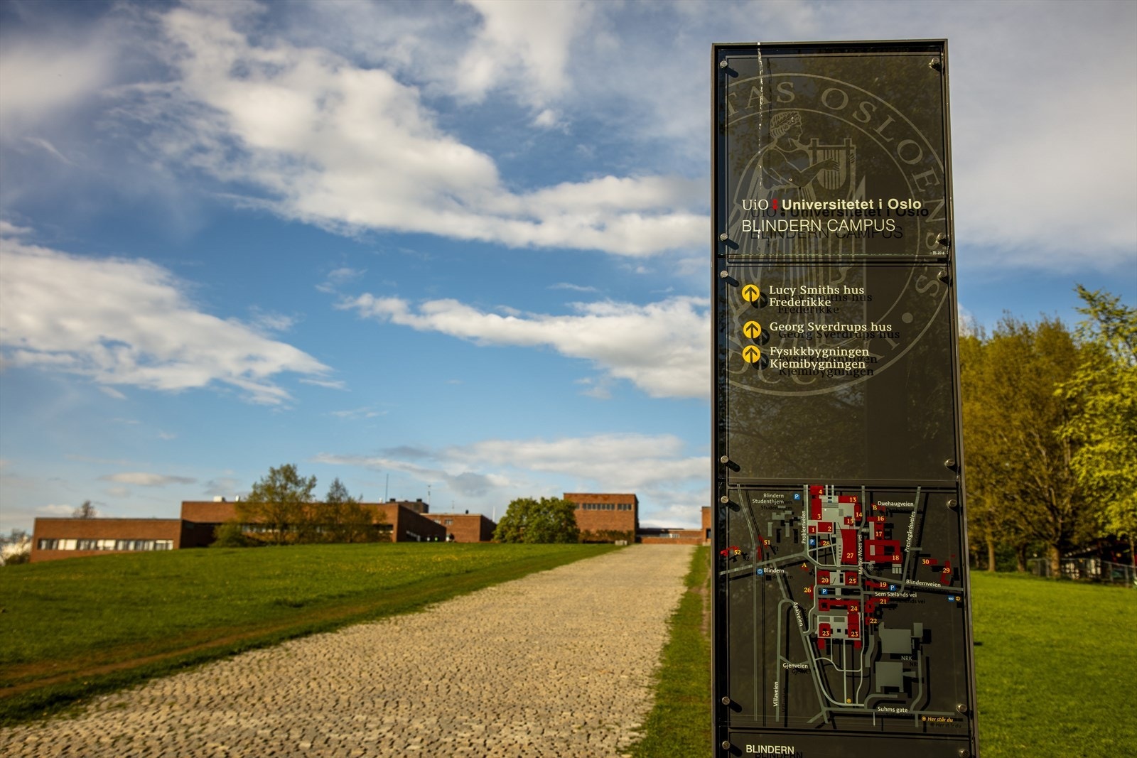 - Nærområdet - Galleribilde
