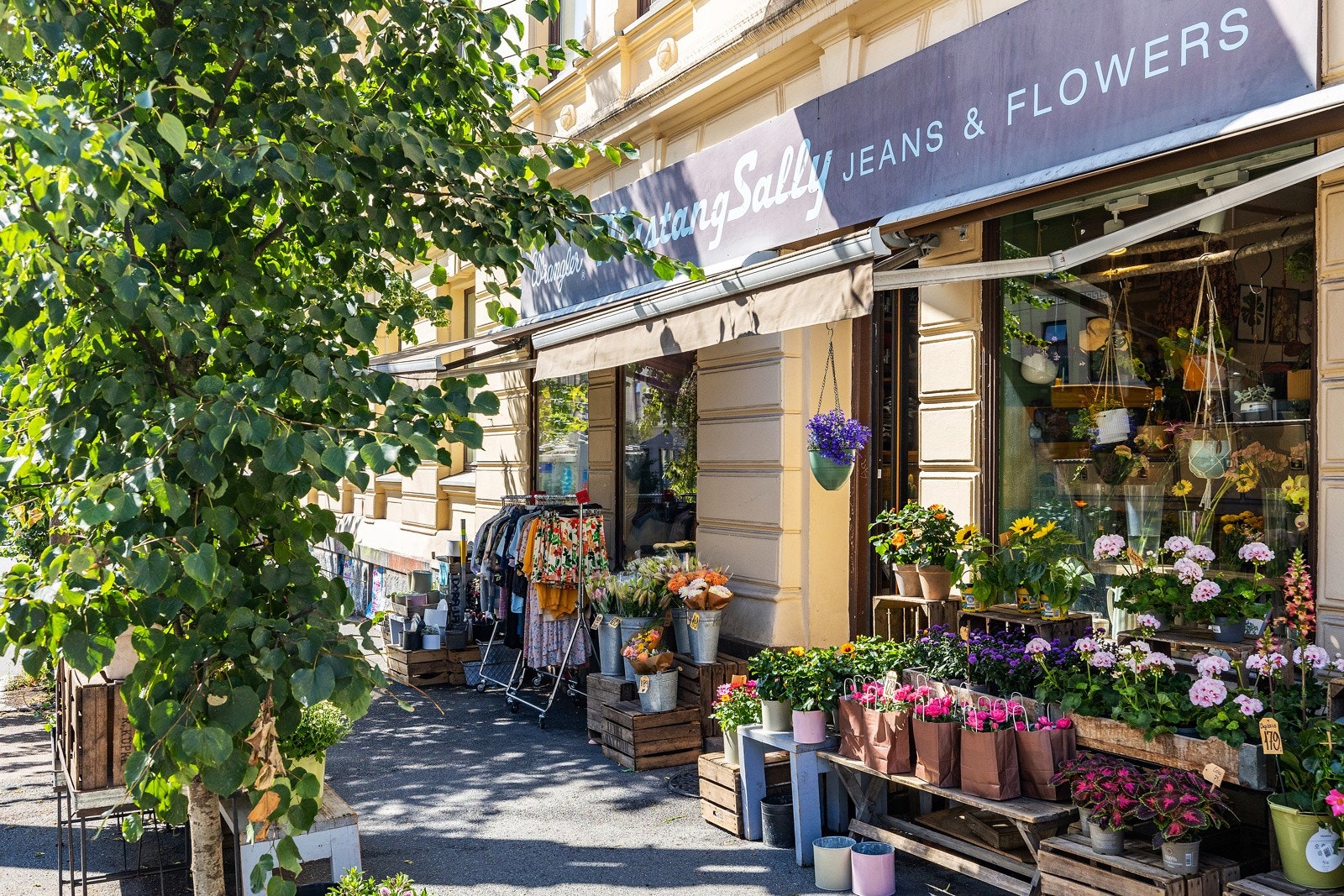 Mustang Sally - jeans & flowers. Galleribilde