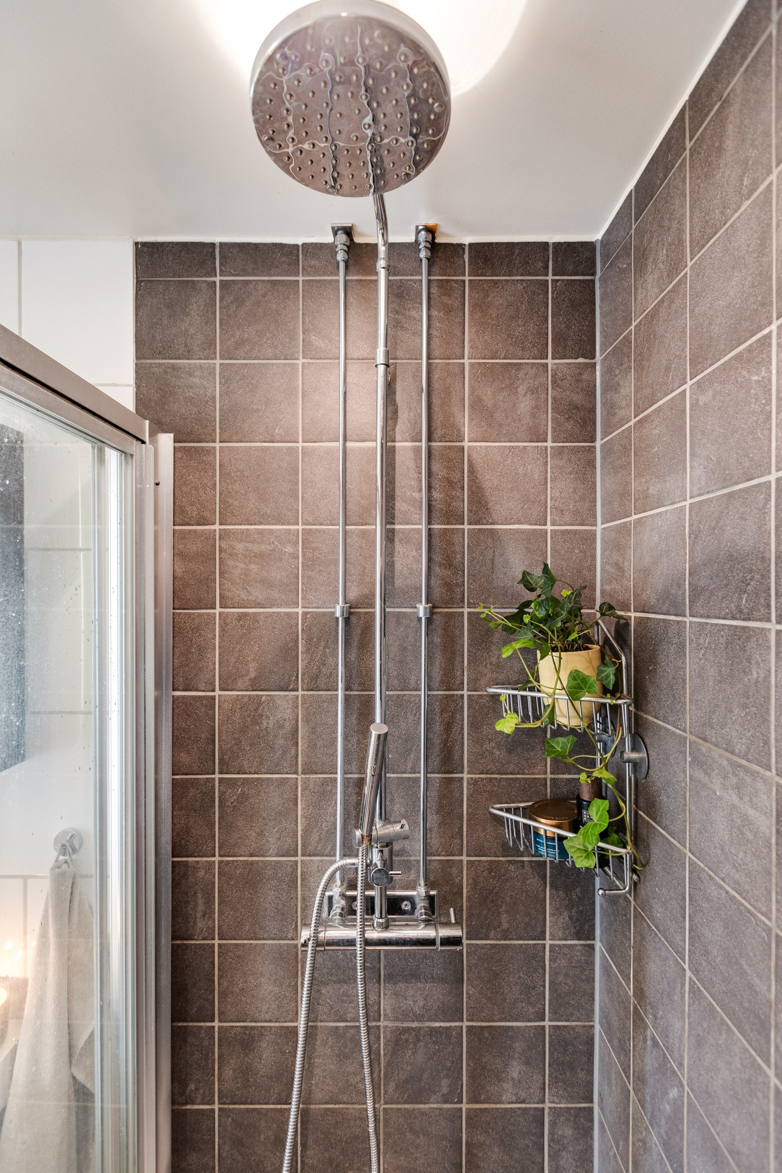 - Bad - Galleribilde