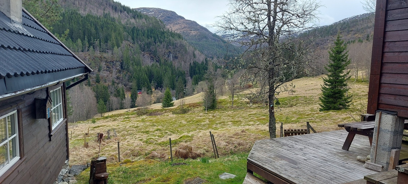 Utsikten er upåklagelig. Galleribilde