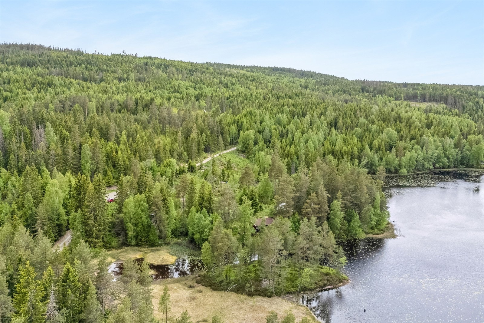 Området byr på storslått natur med fantastiske, langstrakte skogsområder som danner et godt grunnlag for friluftsliv hele året Galleribilde