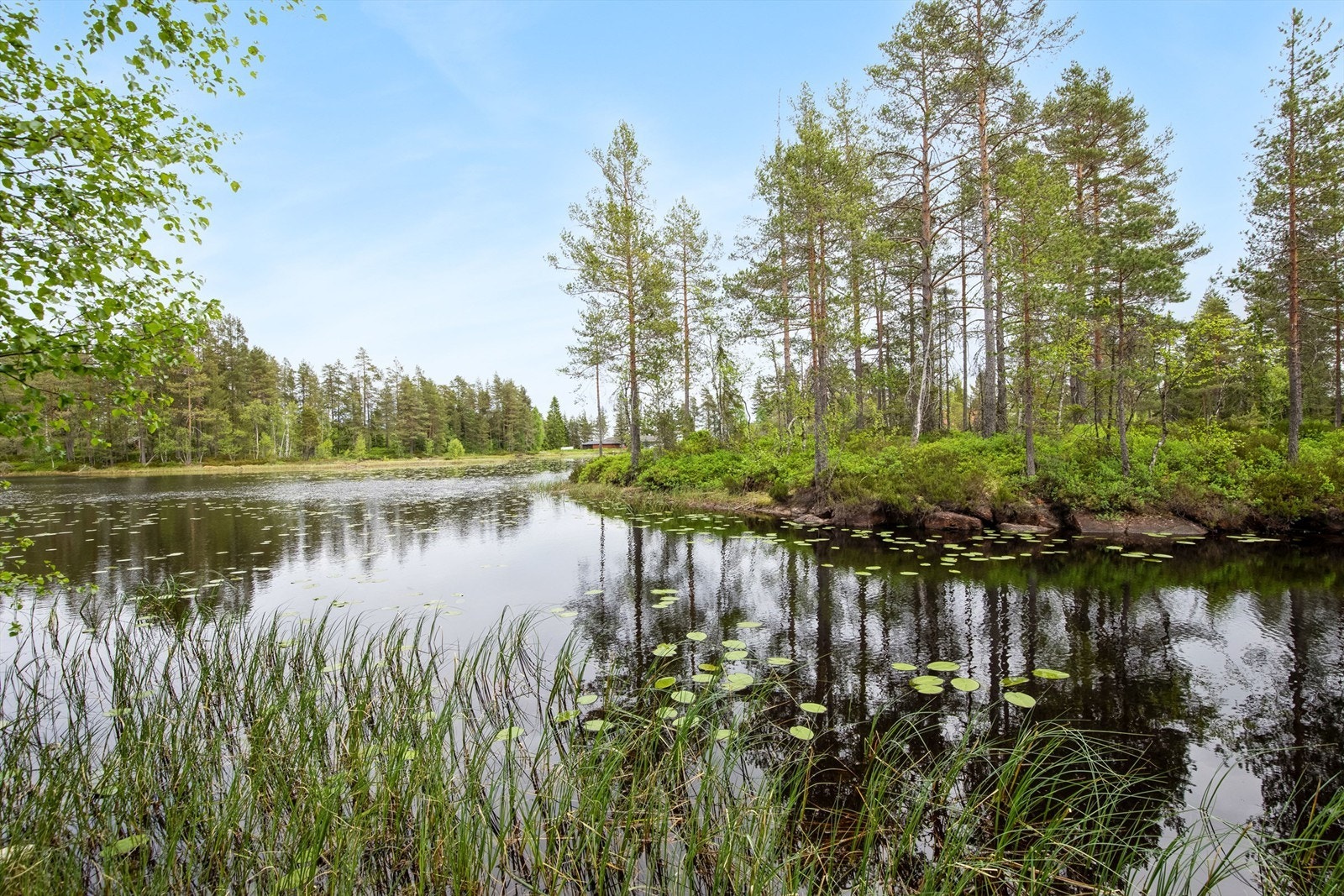Her kan man slappe av med naturen som bakgrunnslerret Galleribilde