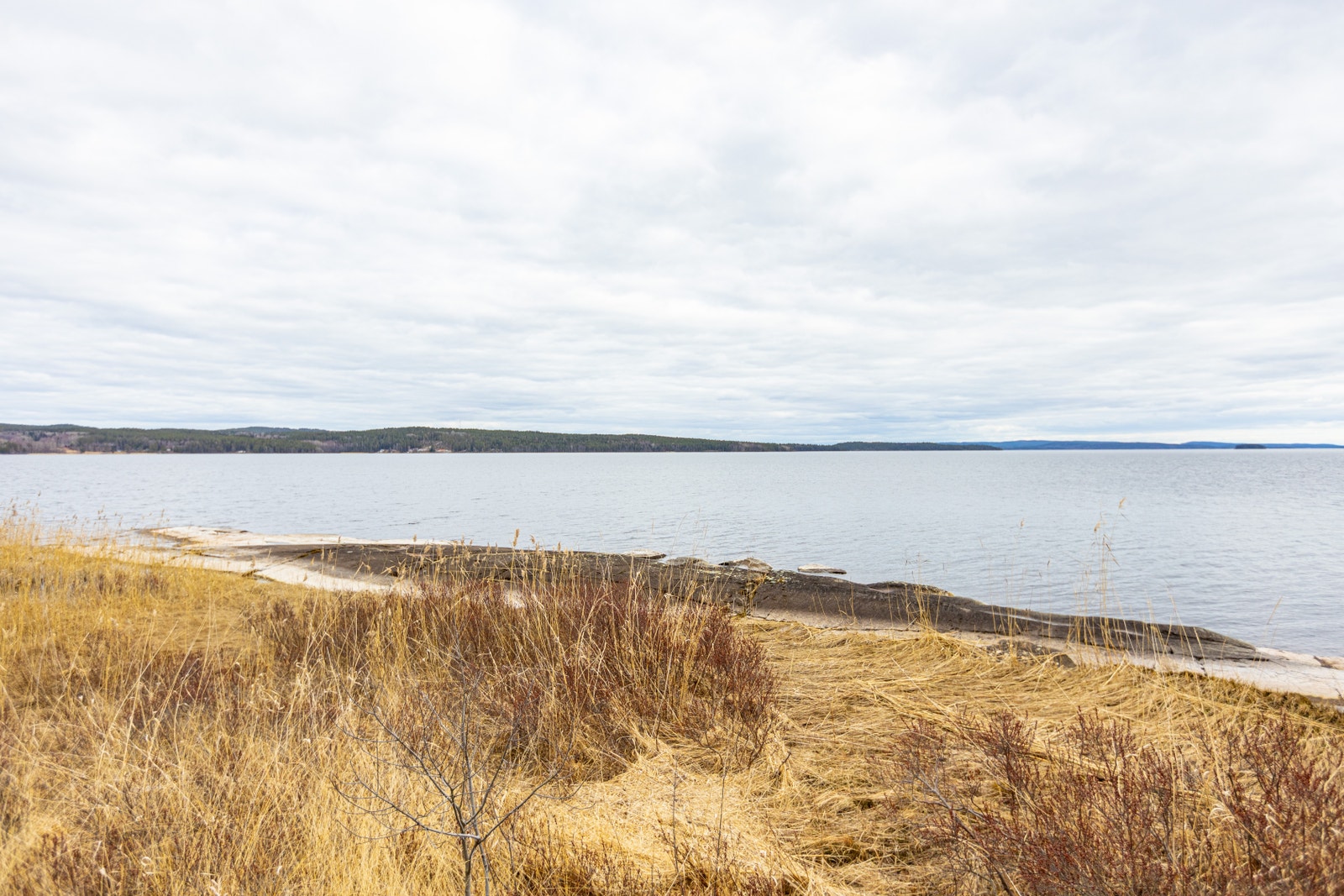 Vy Nyare fritidhuset på ön Galleribilde