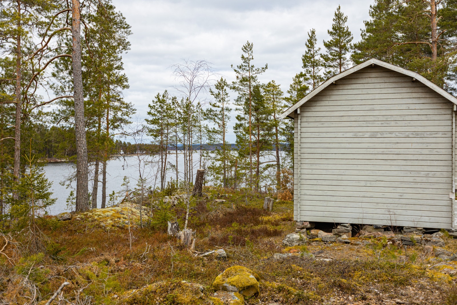 Loftstugan Galleribilde