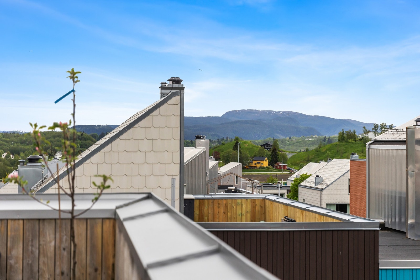 Din nye bolig? Galleribilde