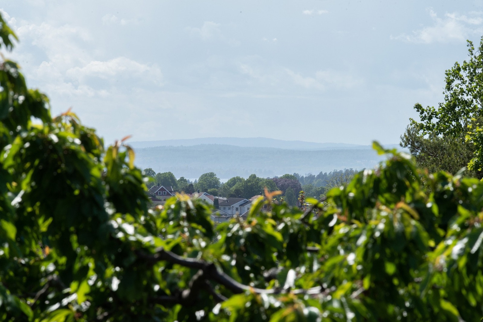 Utsikt tatt med zoom. Galleribilde