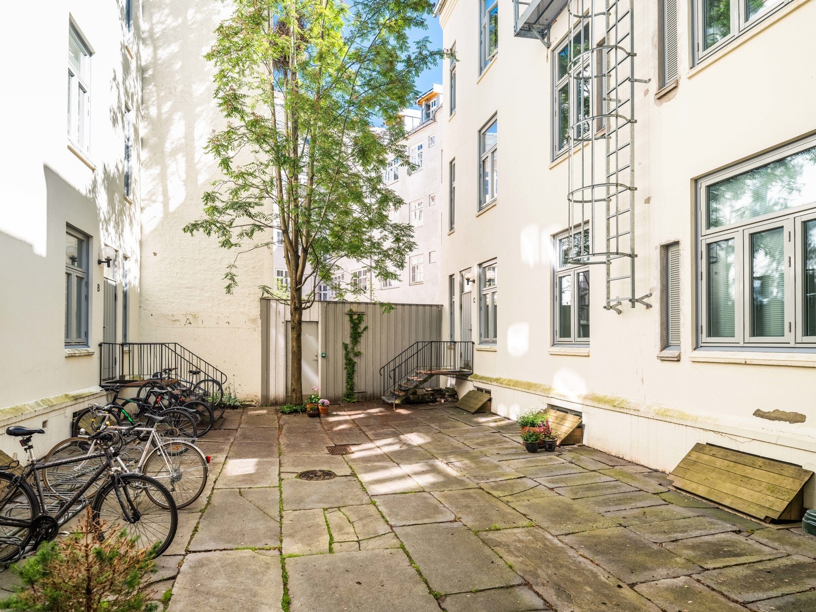 Flott og romslig bakgård, Galleribilde