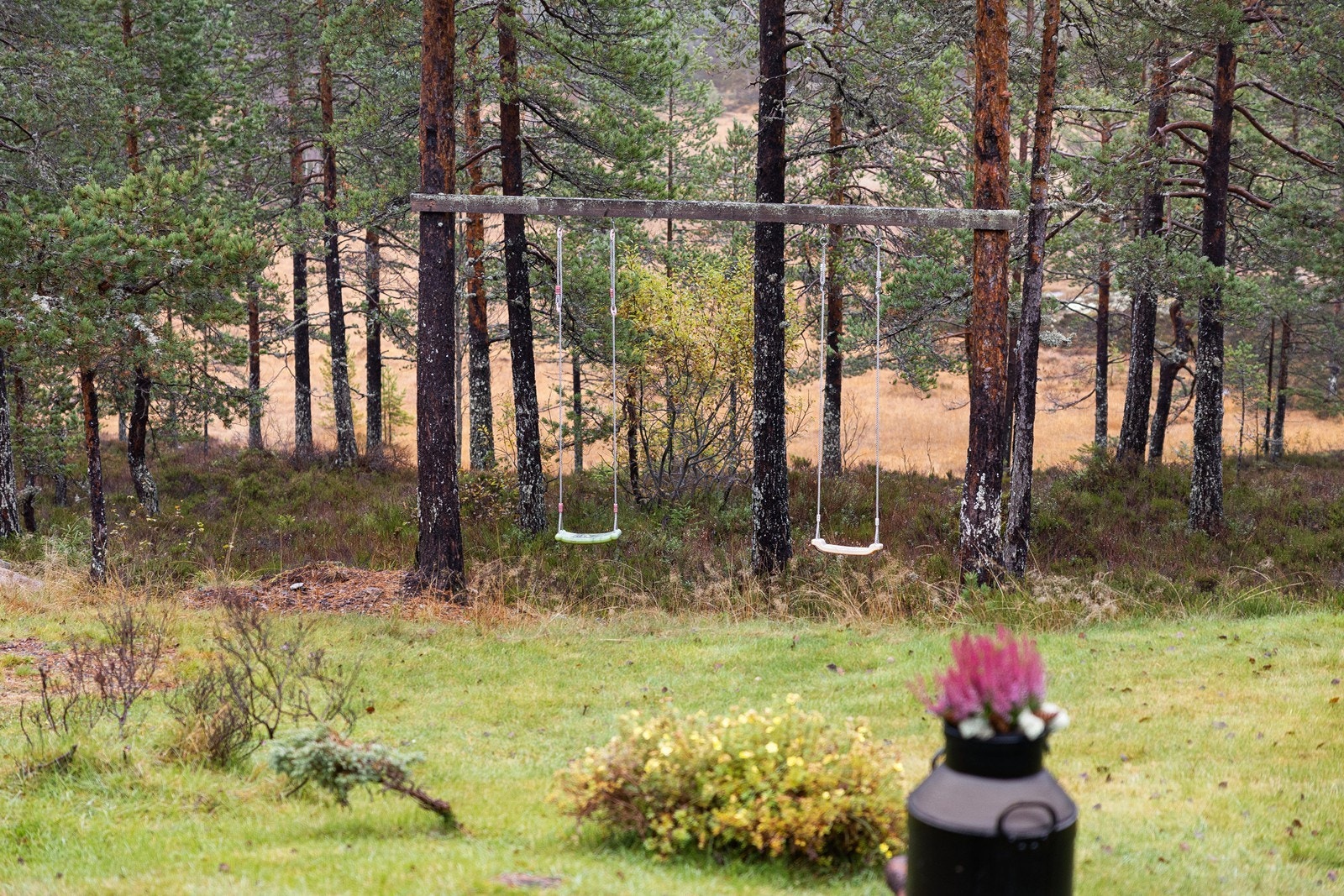 Naturens lekeplass for barna Galleribilde