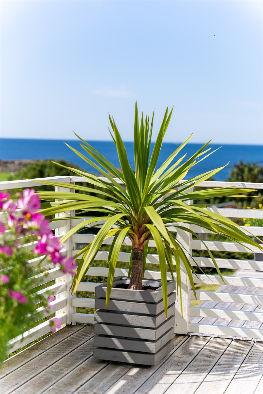 Eiendommen har en sørvest-vendt beliggenhet og meget gode solforhold Galleribilde