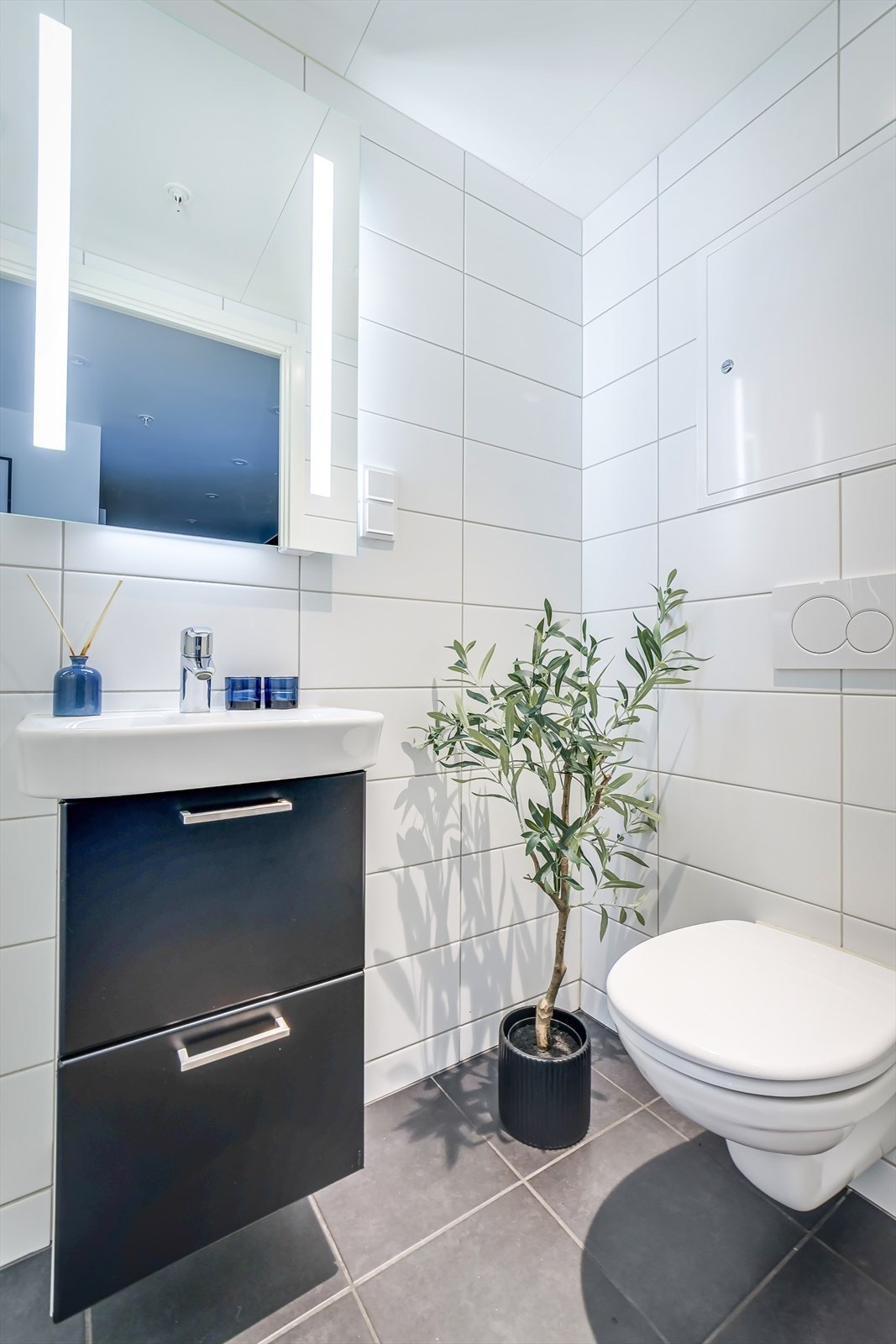 Badet har sanitærutstyr som veggmontert toalett, dusjnisje og servant med skuffer. Galleribilde