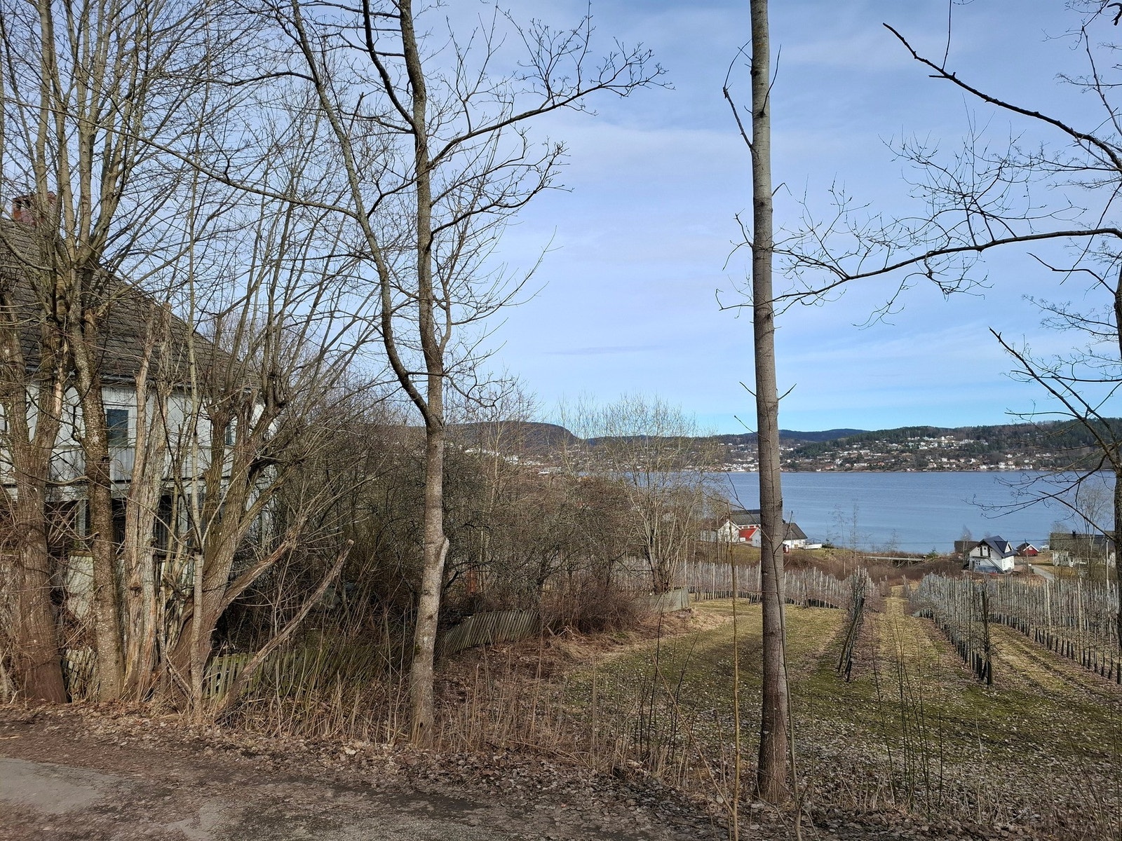 Selgers bilde Galleribilde