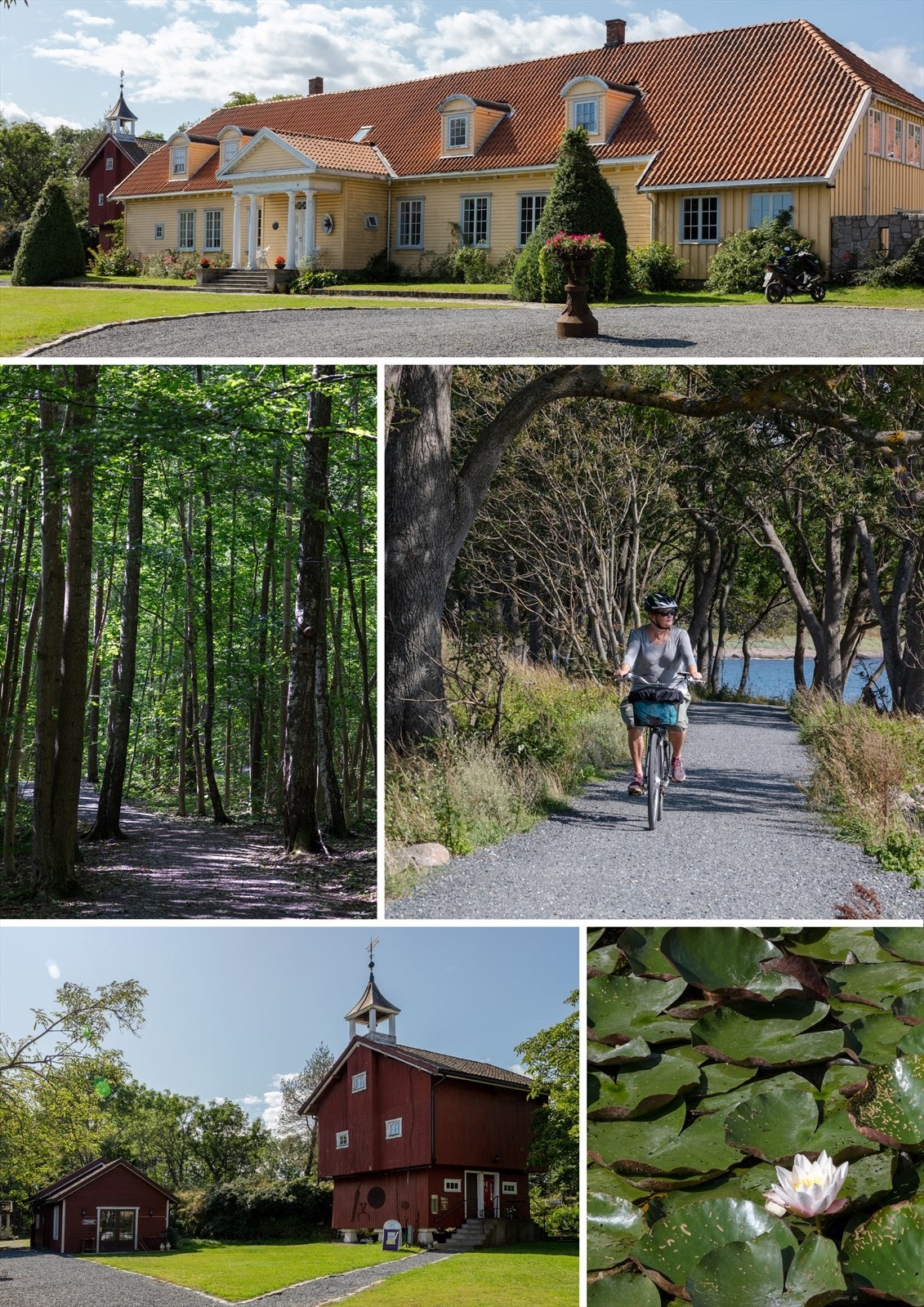 Områdebilde. Jeløya byr på flotte turopplevelser! Galleribilde