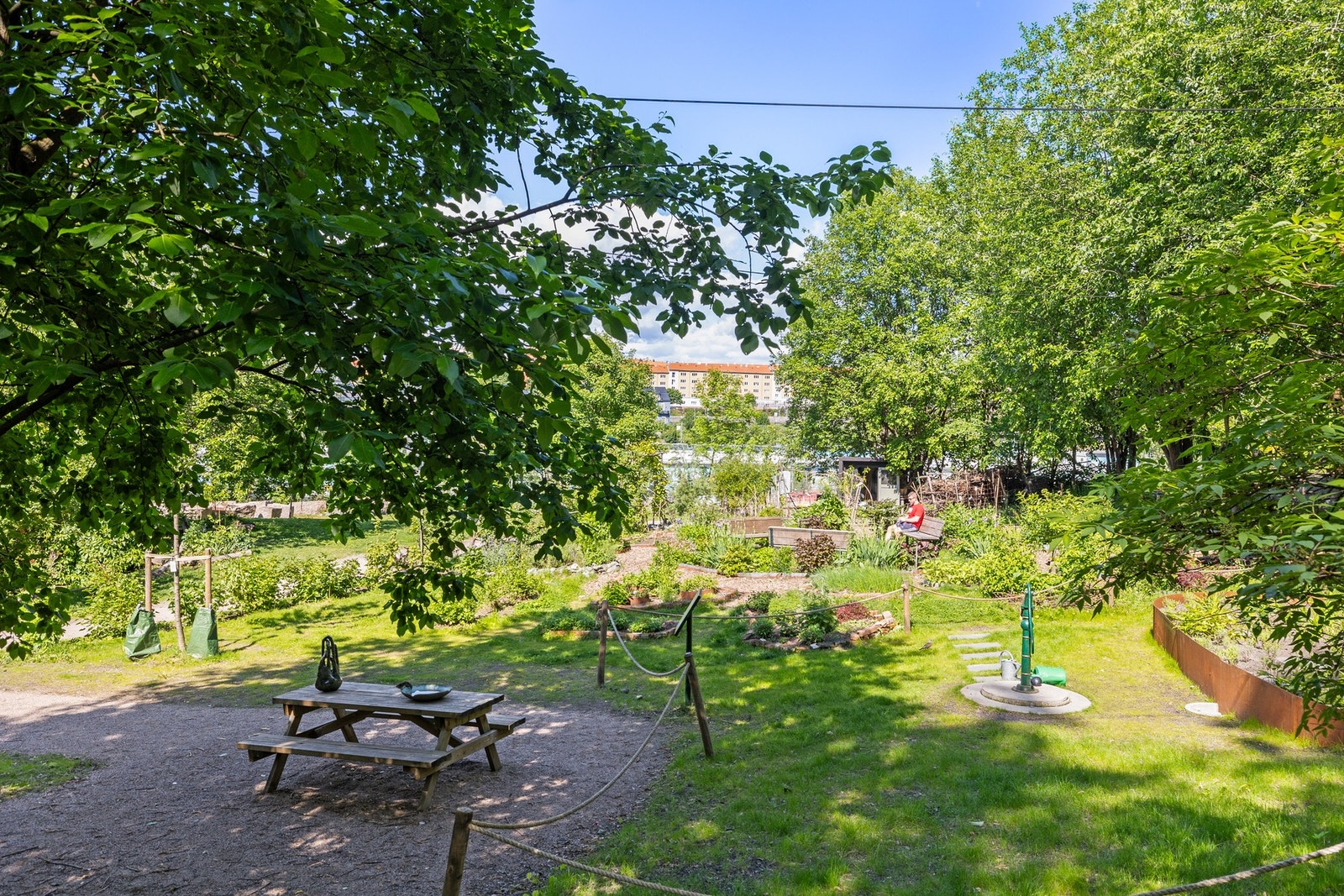 Meget trivelig nærmiljø. Galleribilde