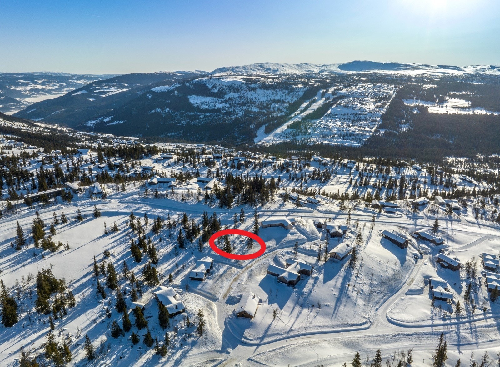 S176 markert vinter 2024 bilde 1 Galleribilde