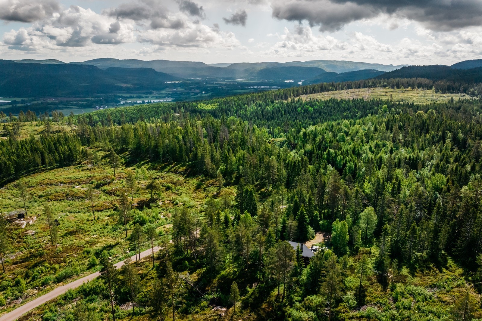 Det går bilvei helt frem til hytta. Galleribilde