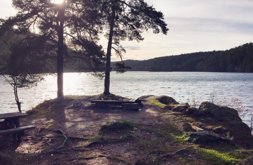 Lutvann Galleribilde