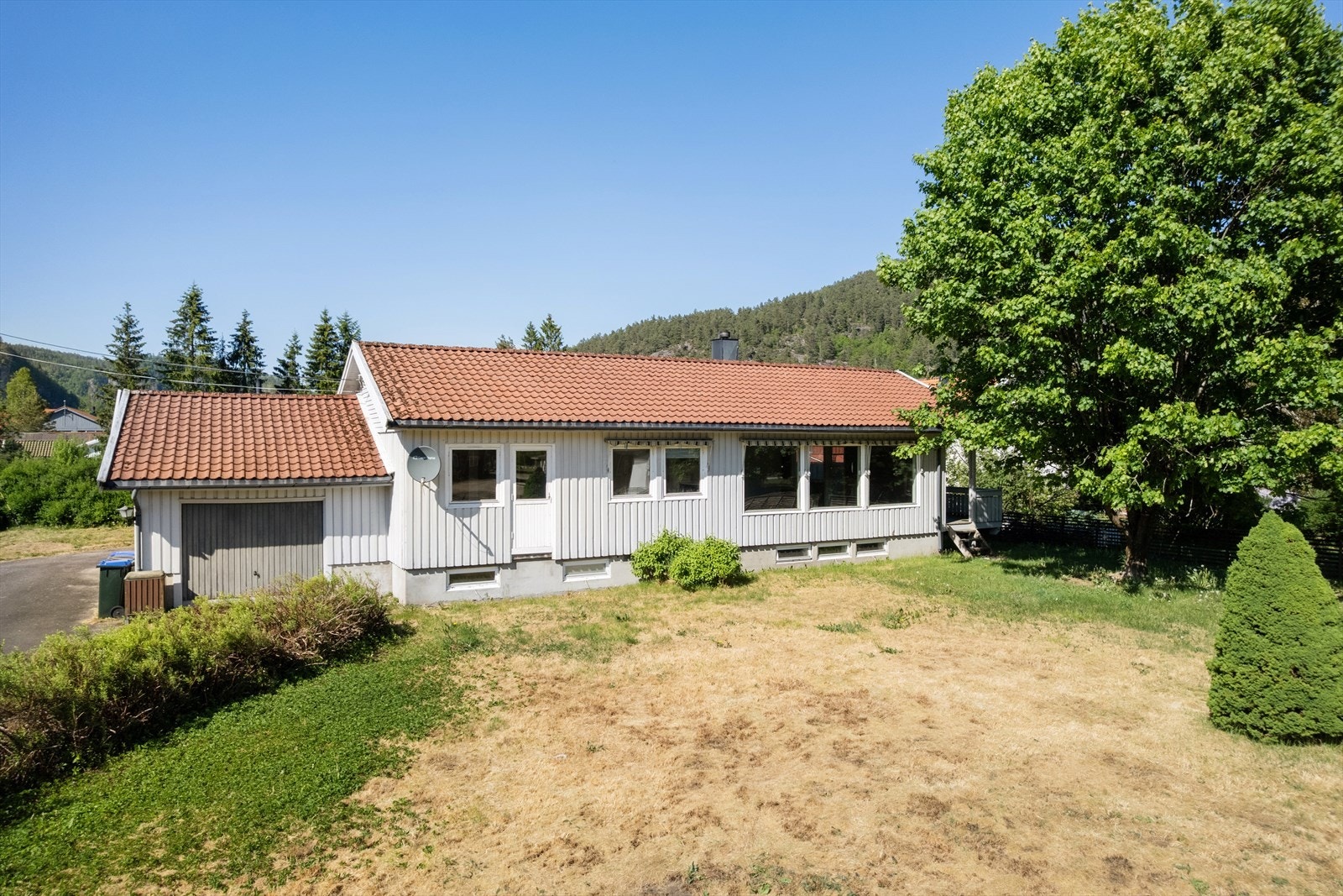 Furumoen 1 Galleribilde